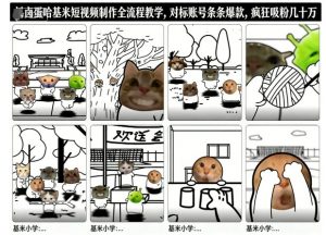 卤蛋哈基米短视频制作全流程教学，条条爆款，疯狂吸粉几十万-虚拟资源库