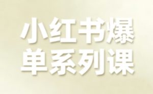 小红书爆单系列课,聚焦小红书电商全链路增长(更新)-淘宝虚拟货源网