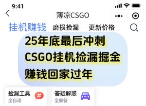 12月年底抓紧最后一个月,用CSGO游戏挂G捡漏掘金賺钱掘金,一部手机轻松日入5张+【揭秘】-淘宝虚拟货源网