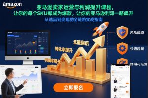 亚马逊卖家运营与利润提升课程，让你的每个SKU都成为爆款，让你的亚马逊利润一路飙升（更新12月）-虚拟资源库