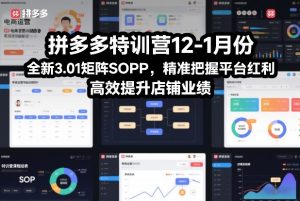 拼多多特训营12-1月份,全新3.01矩阵Sop,精准把握平台红利,高效提升店铺业绩-淘宝虚拟货源网