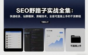 SEO野路子实战全集：快速收录、站群霸屏、黑帽技术，全是可直接上手的干货教程-虚拟资源库