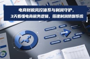 电商财税风控体系与利润守护,3天看懂电商税务逻辑,搭建利润防御系统-虚拟资源库