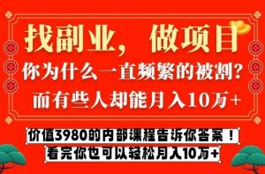价值3980的网创内部课程,告诉你互联网创业月入10个W的秘密【揭秘】-淘宝虚拟货源网