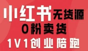 小红书无货源0粉电商课,开店准备、选品策略、笔记撰写、视频剪辑、数据分析、账号打造、资料文档(更新)-虚拟资源库