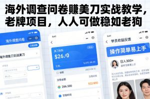海外调查问卷賺美刀实战教学,老牌项目,人人可做稳如老狗-虚拟资源库