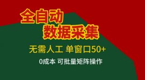 全自动数据采集,无需人工,单窗口50+,0成本可批量矩阵操作【揭秘】-淘宝虚拟货源网