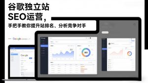 谷歌独立站SEO运营,手把手教你提升网站排名、分析竞争对手(更新2026)-淘宝虚拟货源网