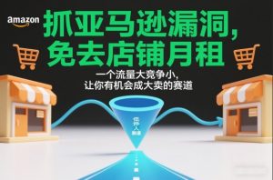 抓亚马逊漏洞,免去店铺月租,一个流量大竞争小,让你有机会成大卖的赛道-淘宝虚拟货源网