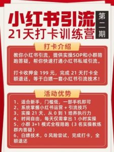 小红书引流21天打卡训练营第二期,助你快速打通小红书私域引流打粉-淘宝虚拟货源网