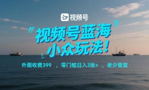 视频号蓝海小众玩法!外面收费399,零门槛日入3张+,老少皆宜-淘宝虚拟货源网