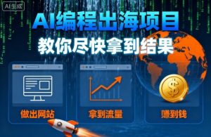 AI编程出海项目,教你尽快拿到结果-做出网站、拿到流量、賺到钱-淘宝虚拟货源网