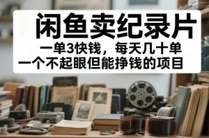 闲鱼卖纪录片,一单3快钱,每天几十单,一个不起眼但能挣钱的项目【揭秘】-第一资源库