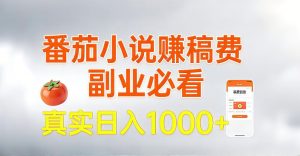 全网独家，番茄小说賺稿费邪修玩法，操作超级简单，单日收益1k+【揭秘】-虚拟资源库