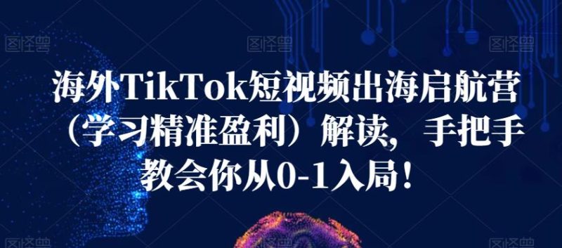 海外TikTok短视频出海启航营（学习精准盈利）解读，手把手教会你从0-1入局！-虚拟资源库