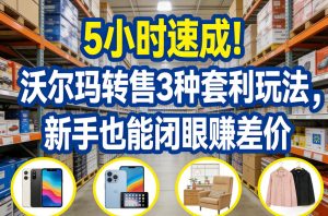 5小时速成!沃尔玛转售3种套利玩法,新手也能闭眼賺差价-虚拟资源库