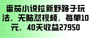番茄小说拉新野路子玩法,无脑怼视频,玩法简单、见效快,每单10米,40天收益27950-虚拟资源库