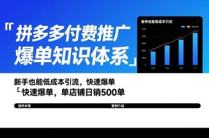 拼多多付费推广爆单知识体系,新手也能低成本引流,快速爆单,单店铺日销500单-虚拟资源库