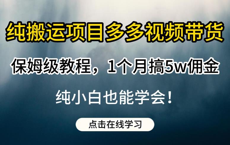 纯搬运项目多多视频带货保姆级教程,1个月搞5w佣金,纯小白也能学会【揭秘】-虚拟资源库