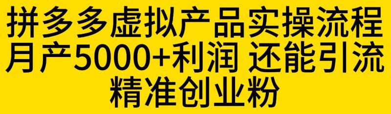 拼多多虚拟产品实操流程,月产5000+利润,还能引流精准创业粉【揭秘】-虚拟资源库