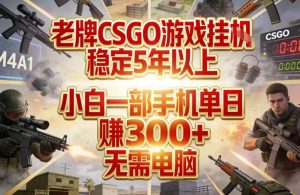 老牌CSGO游戏挂G,稳定5年以上,小白一部手机单日賺3张+,无需电脑【揭秘】-虚拟资源库