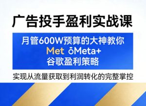 广告投手盈利实战课,月管600W预算的大神教你Meta+谷歌盈利策略,实现从流量获取到利润转化的完整掌控-虚拟资源库