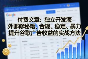 付费文章：独立开发海外邪修秘籍，合规、稳定、暴力提升谷歌广告收益的实战方法-虚拟资源库