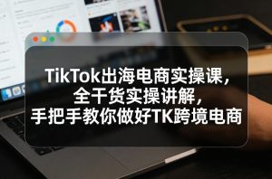 TikTok出海电商实操课,全干货实操讲解,手把手教你做好TK跨境电商-虚拟资源库