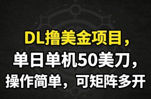 DL撸美金项目,单日单机50美刀,操作简单,可矩阵多开-虚拟资源库