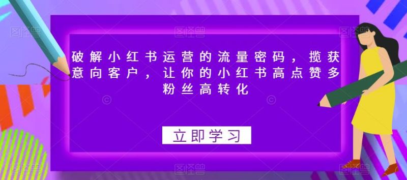 破解小红书运营的流量密码，揽获意向客户，让你的小红书高点赞多粉丝高转化-虚拟资源库