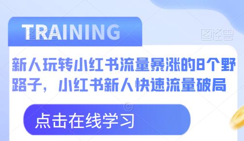 新人玩转小红书流量暴涨的8个野路子,小红书新人快速流量破局-虚拟资源库