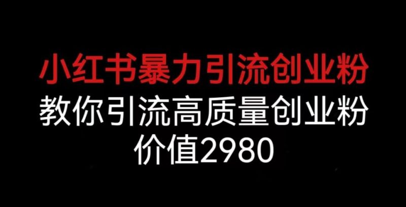 小红书暴力引流创业粉,教你引流高质量创业粉,价值2980【揭秘】-虚拟资源库