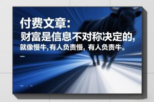 付费文章:财富是信息不对称决定的,就像慢牛,有人负责慢,有人负责牛-虚拟资源库