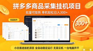 拼多多商品信息全自动采集项目,批量可矩阵,单机轻松日入300+,无需云机一台电脑开干【揭秘】-虚拟资源库