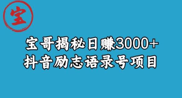 宝哥揭秘日赚3000+抖音励志语录号短视频变现项目-虚拟资源库