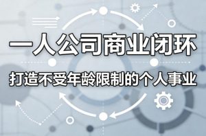 一人公司商业闭环,打造一份不受年龄限制的个人事业-虚拟资源库