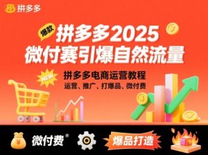 拼多多微付费引爆自然流量，拼多多电商运营教程，运营、推广、打爆品、微付费（更新26年2月）-虚拟资源库