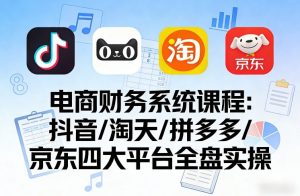 电商财务系统课程，覆盖抖音、淘天、拼多多、京东四大主流平台的全盘实操-虚拟资源库