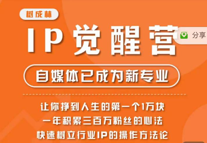 树成林·IP觉醒营，快速树立行业IP的操作方法论，让你赚到人生的第一个1万块（更新）-虚拟资源库