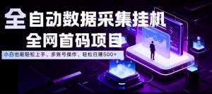全自动数据采集挂G，全网首码项目，简单易操作，小白也能轻松上手，多账号操作，轻松日入500+【揭秘】-虚拟资源库
