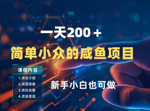 一天收入2张，一个简单小众的咸鱼项目，0门槛小白也能做-虚拟资源库