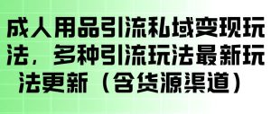 成人用品引流私域变现玩法,多种引流玩法最新玩法,操作简单(含货源渠道)-虚拟资源库