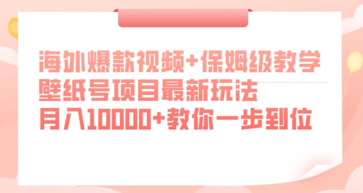 海外爆款视频+保姆级教学,壁纸号项目最新玩法,月入10000+教你一步到位【揭秘】-虚拟资源库