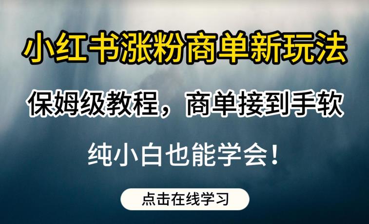 小红书涨粉商单新玩法，保姆级教程，商单接到手软，纯小白也能学会【揭秘】-虚拟资源库