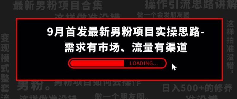 9月首发最新男粉项目实操思路-需求有市场,流量有渠道【揭秘】-虚拟资源库