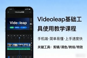 Videoleap基础工具使用教学课程，手机端视频剪辑教学，简单易懂，上手速度快-虚拟资源库