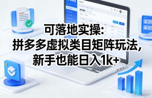 可落地实操:拼多多虚拟类目矩阵玩法,新手也能日入1k+【揭秘】-虚拟资源库
