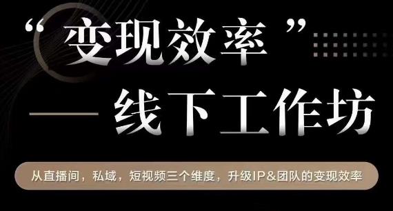 变现效率线下工作坊,从播直间、私域、视短频个三维度,升级IP和团队变现效率-虚拟资源库
