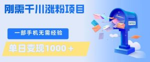 刚需千川涨粉项目,一部手机无需技术,单日变现1k+,当天做当天见收益【揭秘】-虚拟资源库