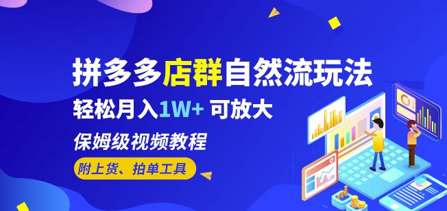 拼多多店群自然流玩法,轻松月入1W+保姆级视频教程(附上货、拍单工具)-虚拟资源库